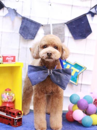 20230427ぷぷくん